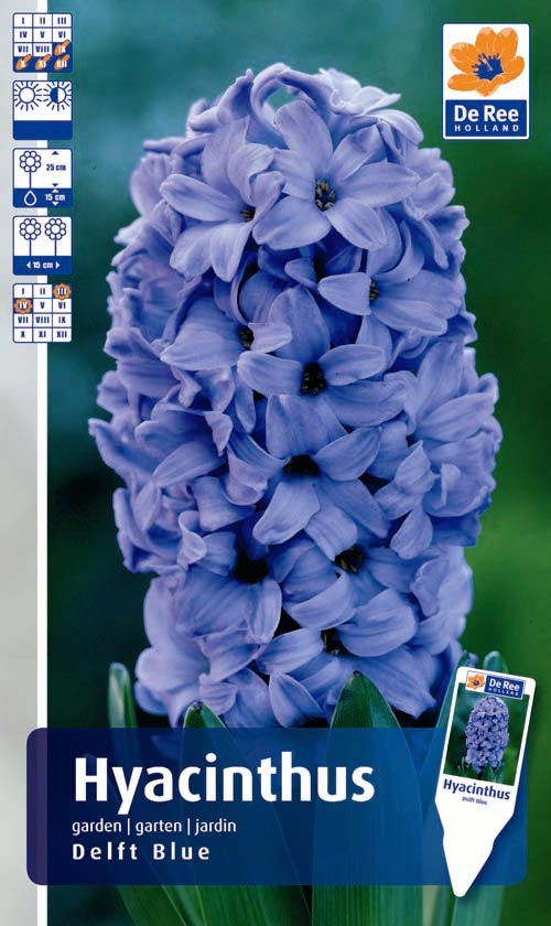 864-HYAC-DELFT-BLUE.jpg
