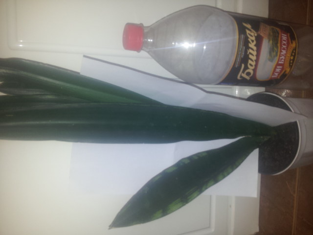 20141103_081735.jpg