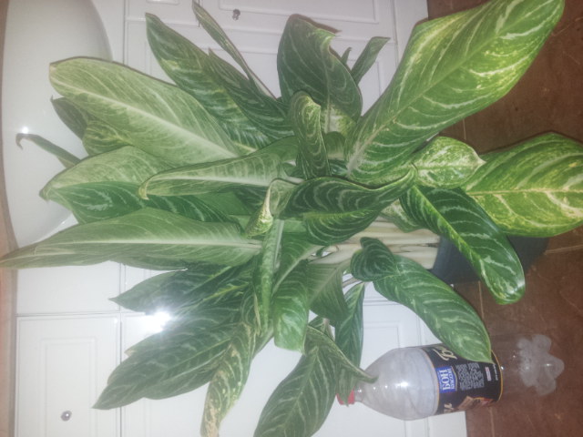 20141103_174054.jpg