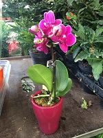 IMG_3738.jpg