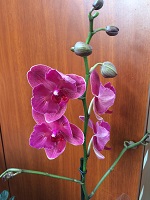 IMG_3758.JPG