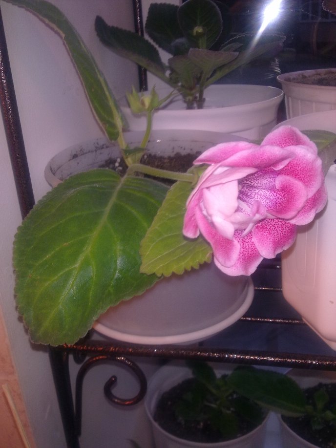 120720121989.jpg