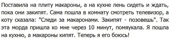 макароны.jpg