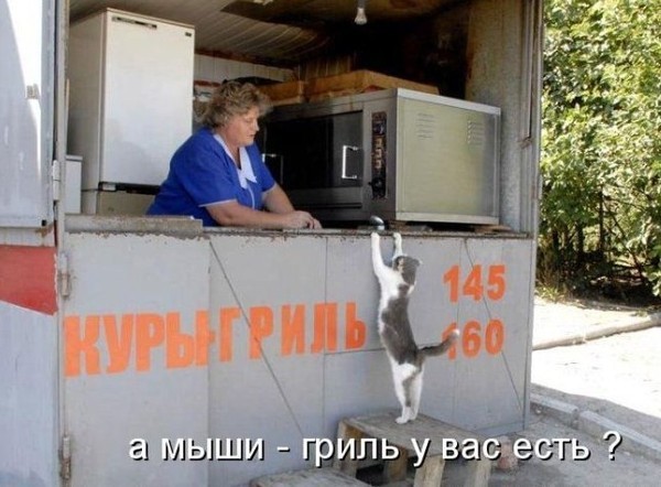 _19.jpg