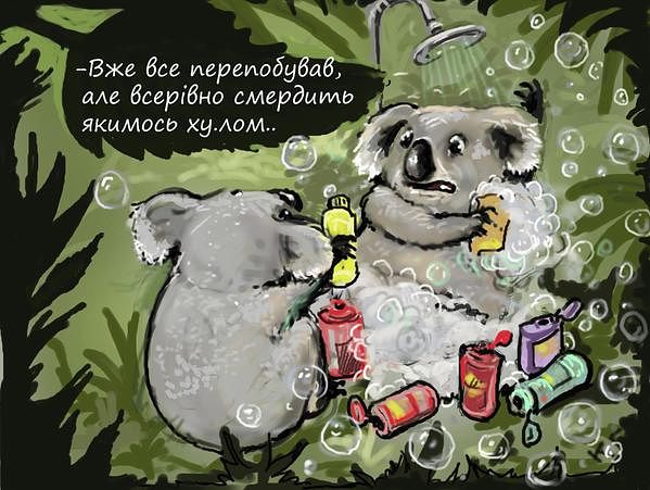 коала1.jpg