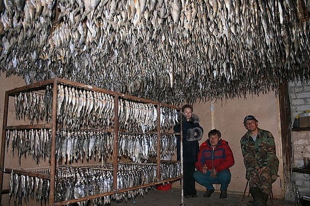 Натяжные потолки.jpg