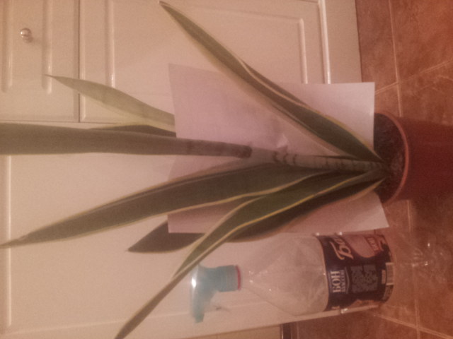 20141130_103338.jpg