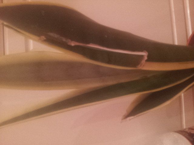 20141130_103539.jpg