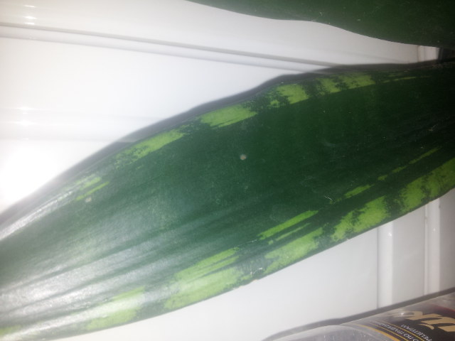 20141130_104544.jpg