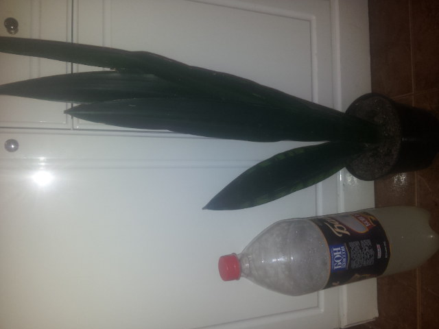 20141130_104534.jpg