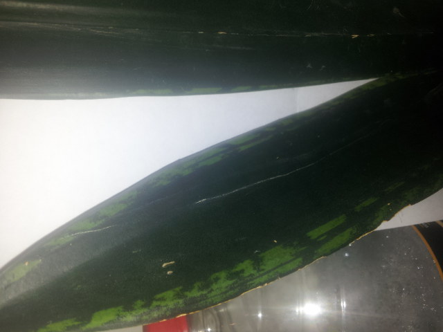 20141130_104925.jpg
