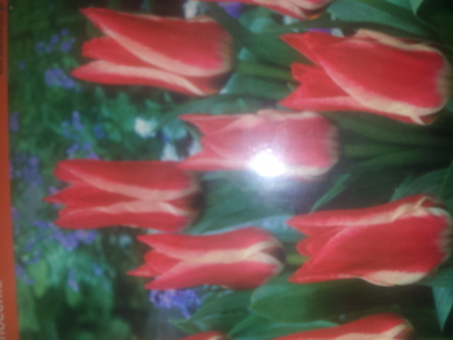 20141130_131334.jpg