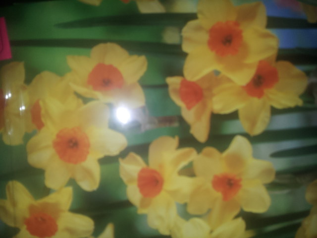 20141130_133135.jpg