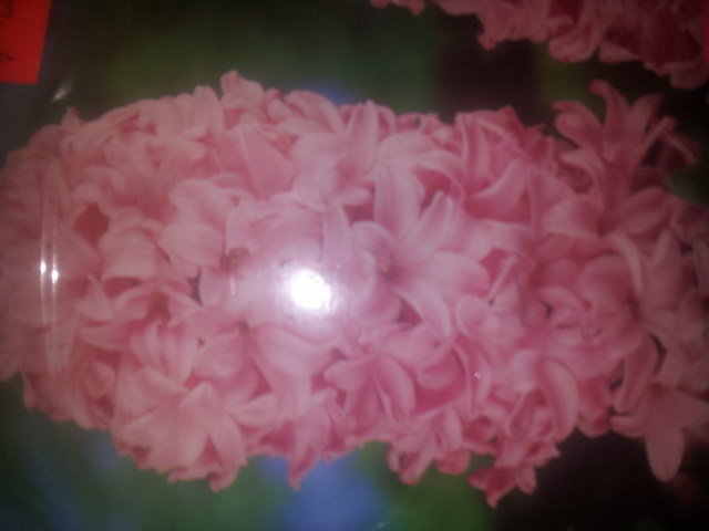 20141130_151839.jpg