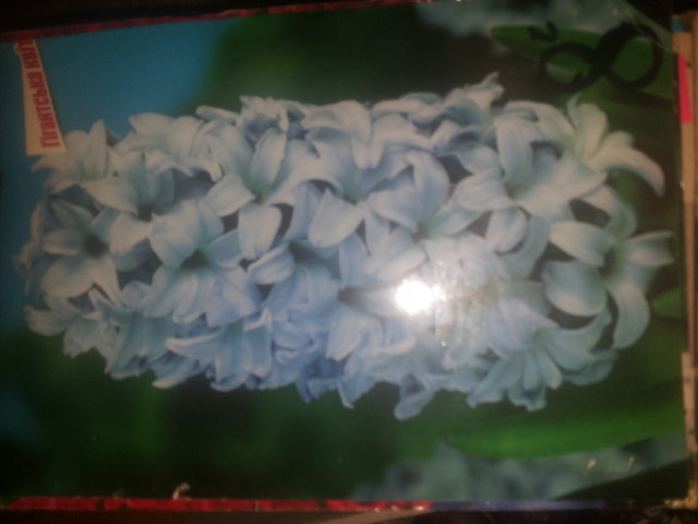 20141130_152301.jpg