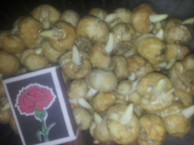 20141130_163824.jpg