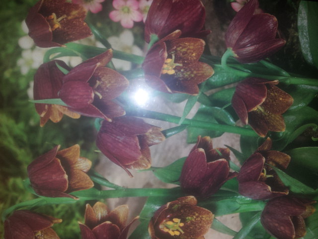 20141130_163904.jpg