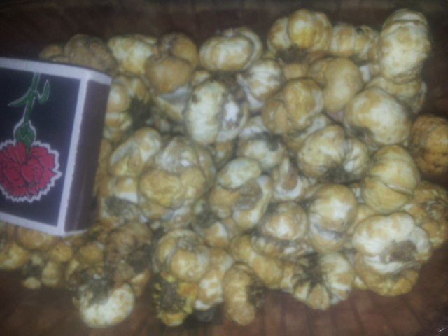 20141130_165920.jpg