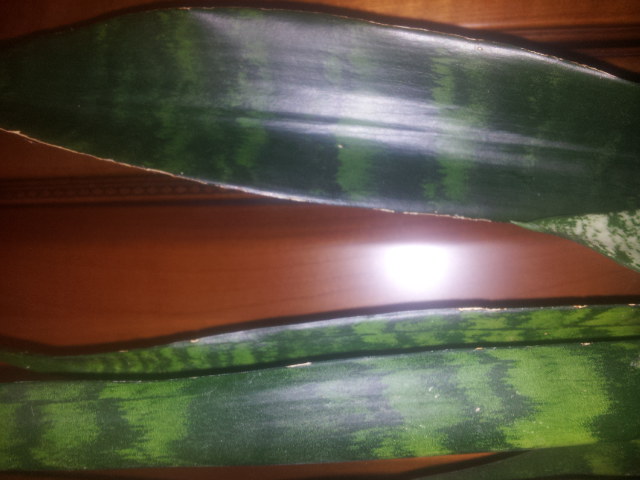 20141130_190500.jpg
