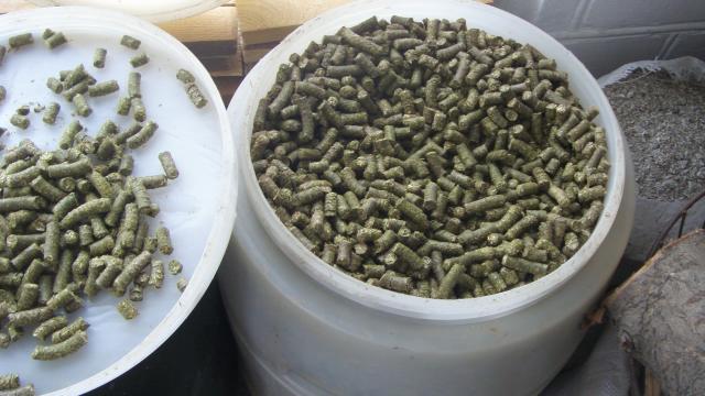 гранулки люцерны.jpg