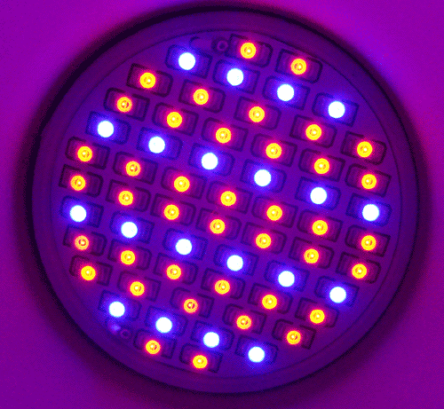 DSC05561.gif
