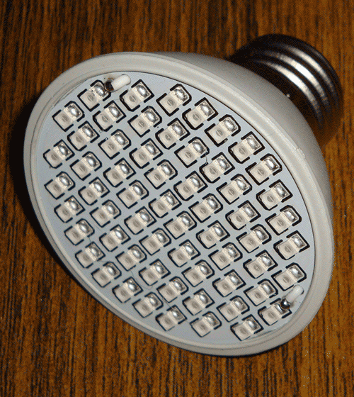 DSC05566.gif