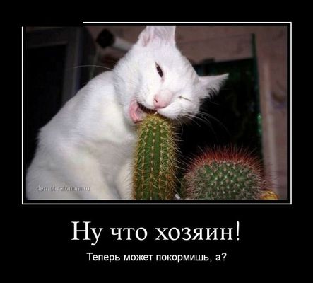 1418709105_08.jpg