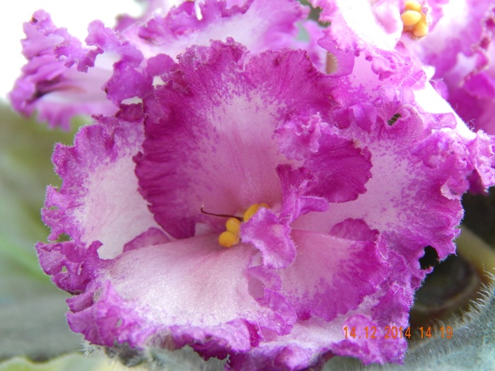DSCN3394.JPG