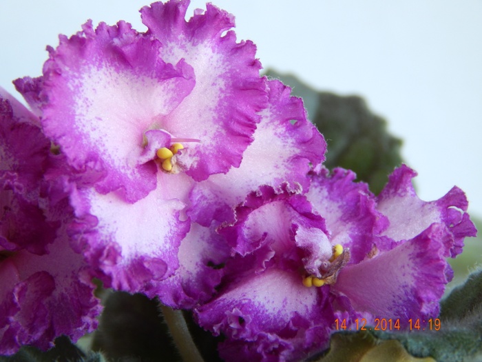 DSCN3393.JPG