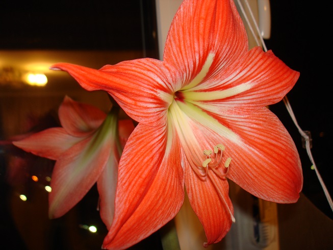 DSC00085.JPG