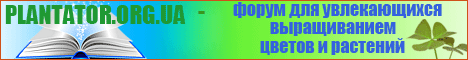 баннер-н.gif