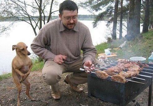 летом.jpg