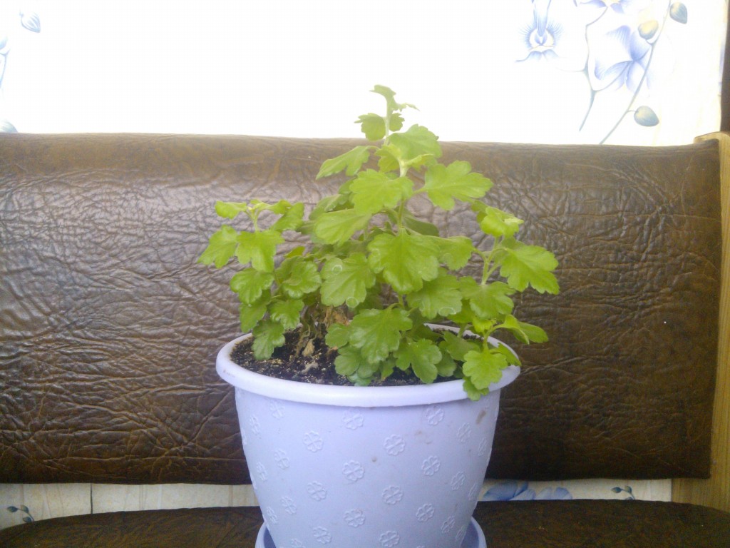 PhotoChooser-3438aded-b827-4afd-a9f4-a620cb344acd~1.jpg