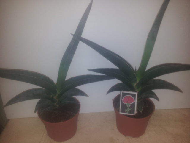 20150112_185425.jpg