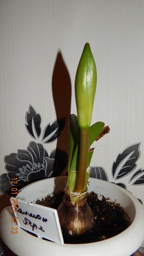 DSCN1761.JPG