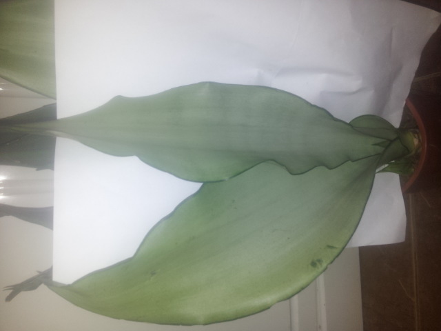 20150112_202359.jpg
