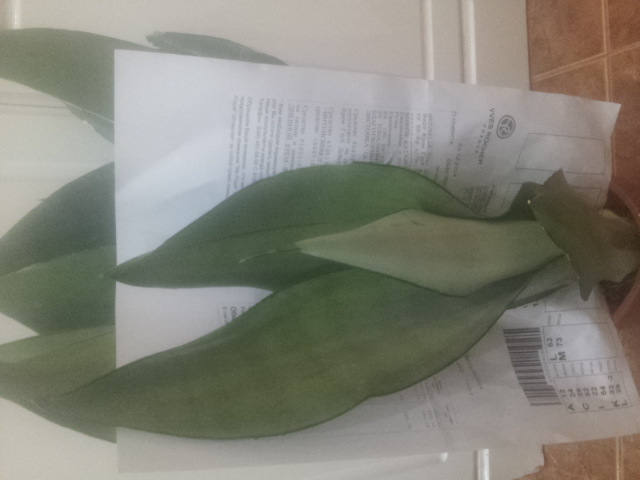 20150112_202523.jpg