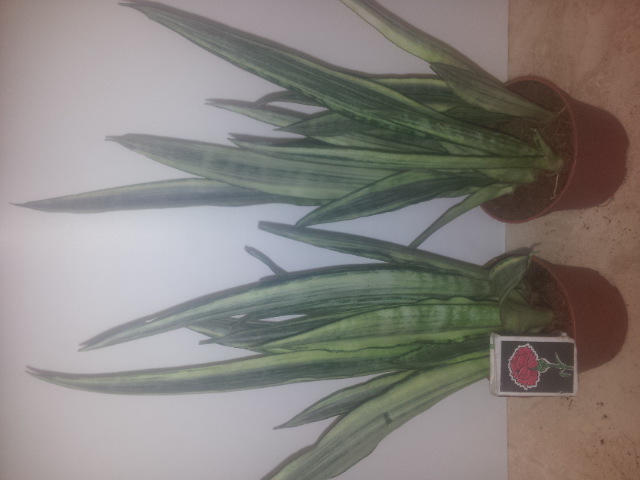 20150112_190405.jpg