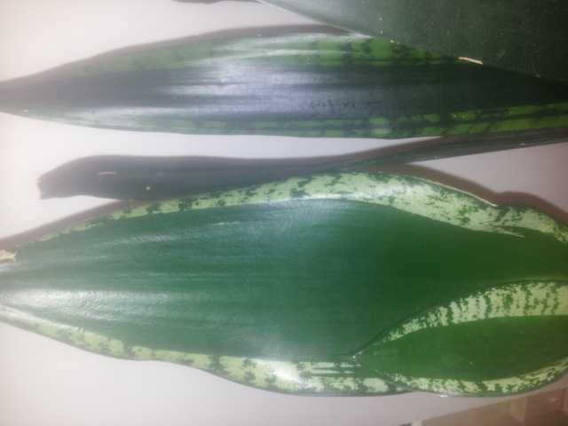 20150113_111517.jpg