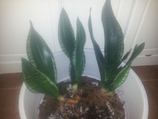 20150114_121925.jpg