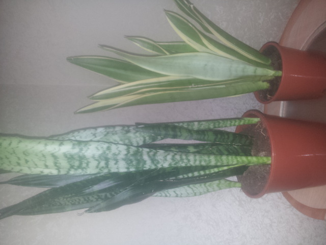 20150116_122151.jpg