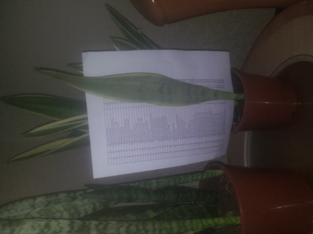 20150116_122436.jpg