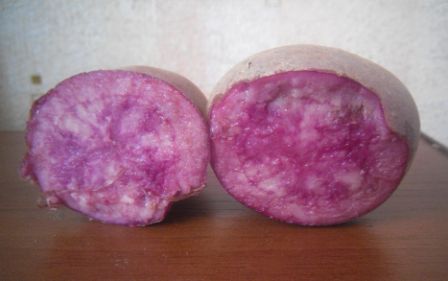 image.jpeg