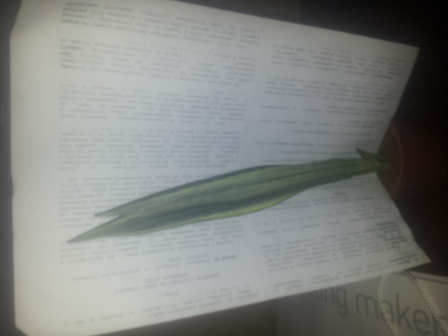 20150116_125918.jpg