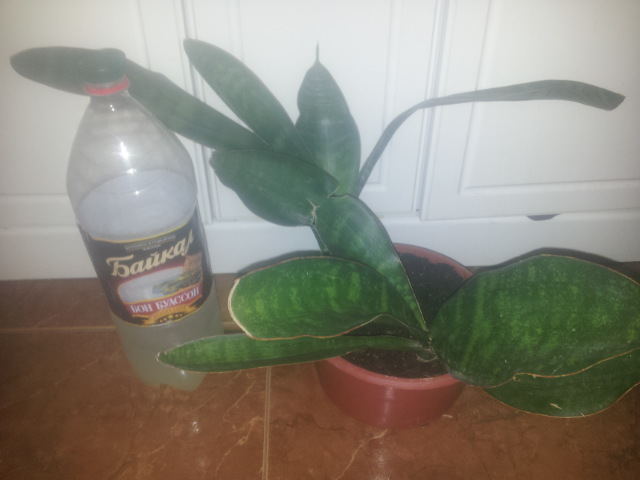 20150117_115954.jpg