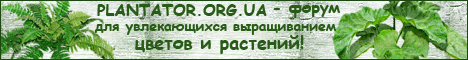 баннер-а.gif