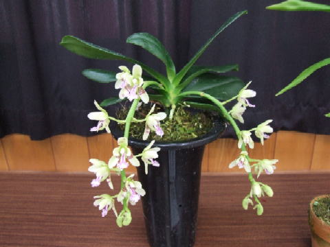 image1833.jpg