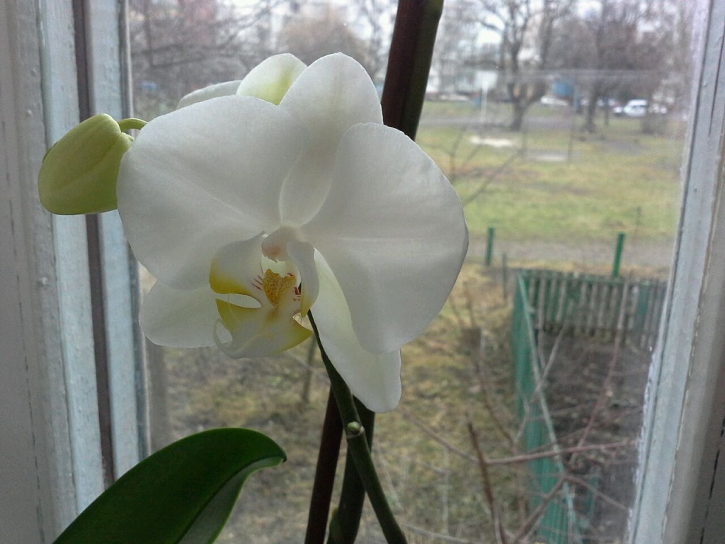 1421823121882_1.jpg