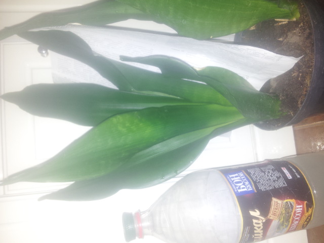 20150117_140122.jpg