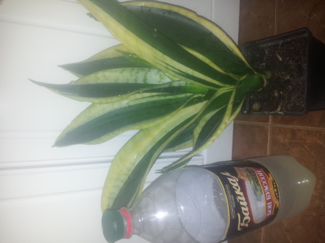 20150117_130538.jpg